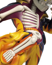 XXRAY PLUS: One Piece Sanji Anime Edition